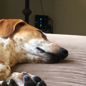 Meet your Posher, Jill